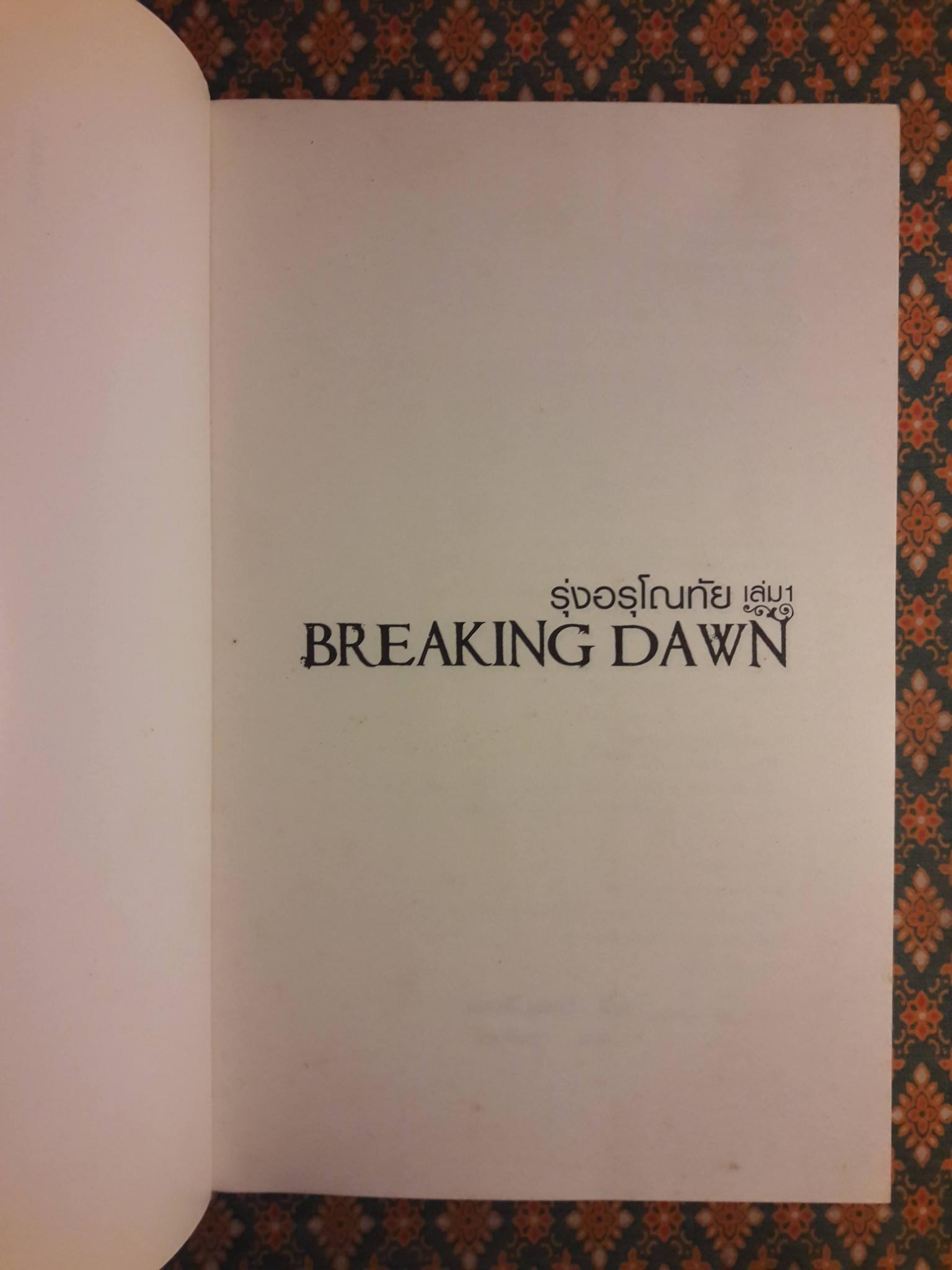 รุ่งอรุโณทัย Breaking Down (เล่ม 1)