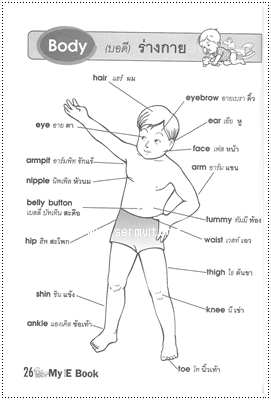My English Book - คละปก