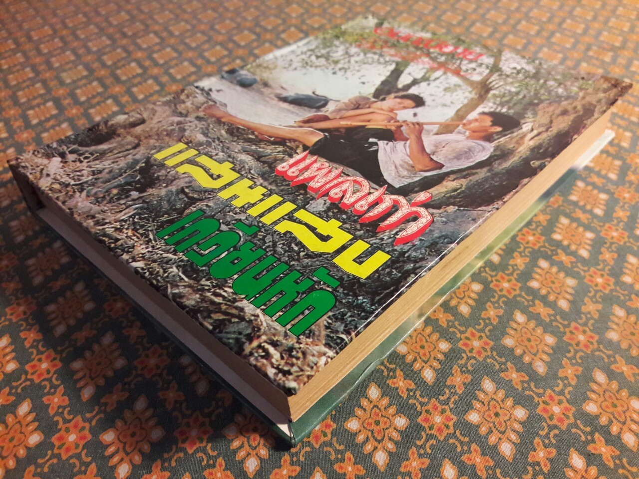 แผลเก่า แสนแสบ เกวียนหัก