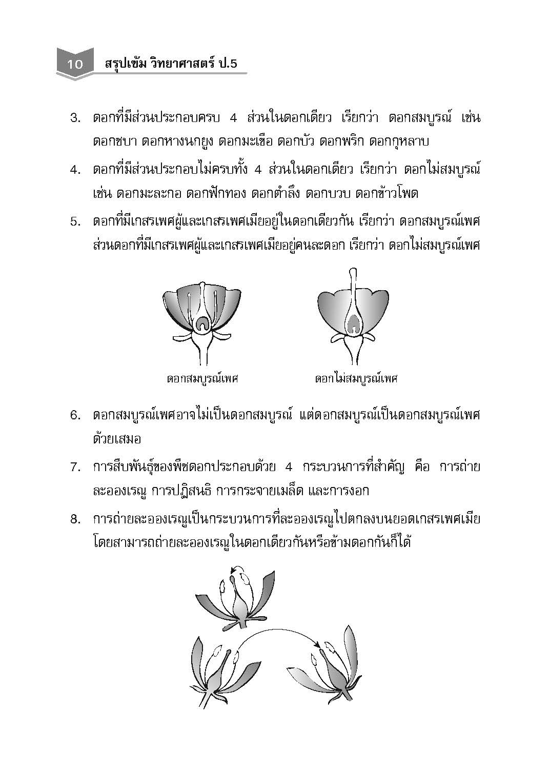 สรุปเข้ม วิทยาศาสตร์ ป.5