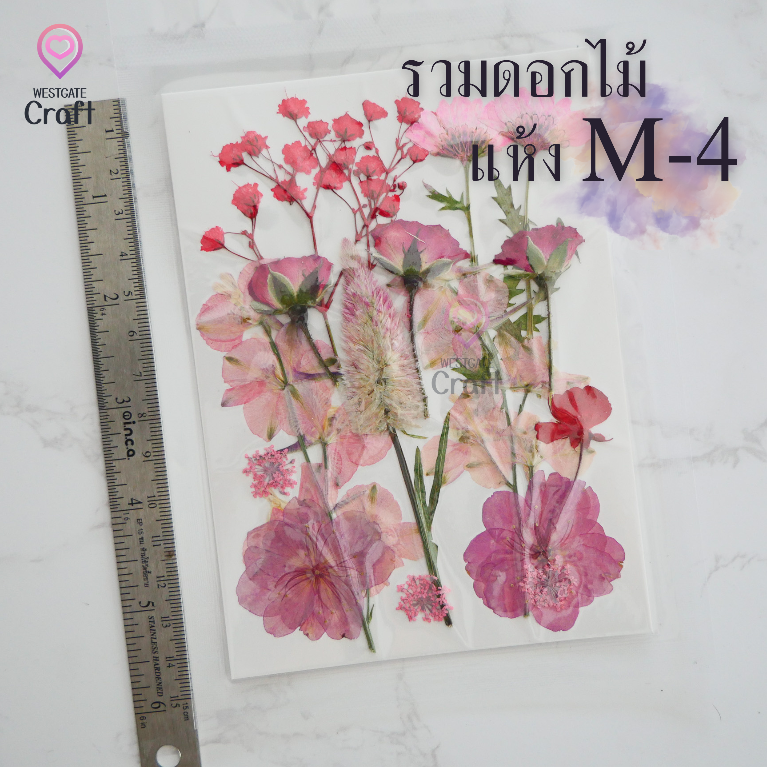 รวมดอกไม้แห้ง M ดอกไม้แห้งทับ ดอกไม้แบบคละ