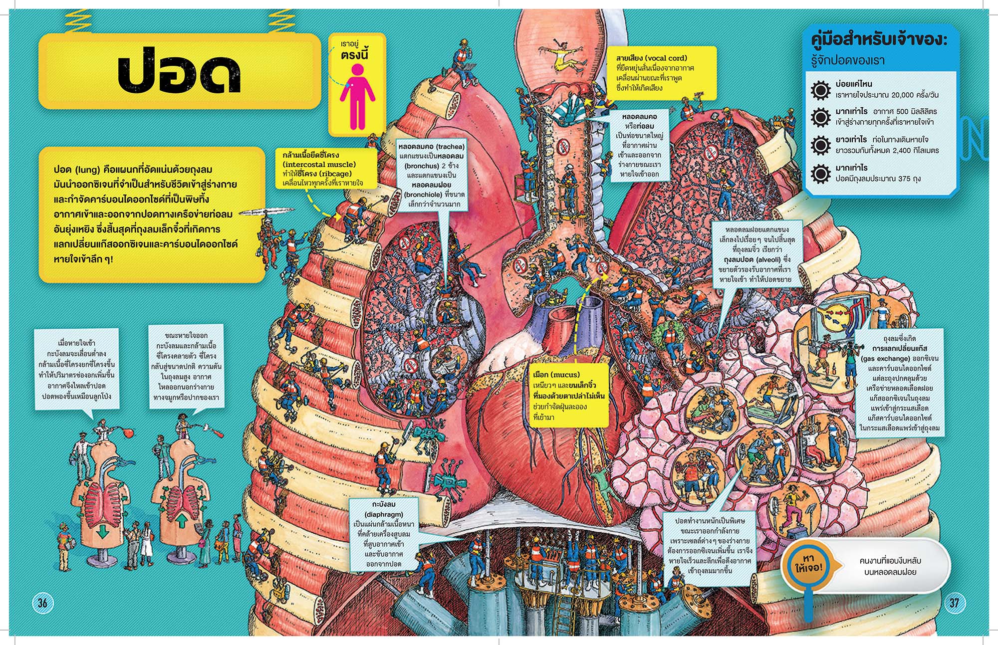 NANMEEBOOKS หนังสือ โรงงานร่างกายมนุษย์ : เสริมความรู้เยาวชน สารานุกรม