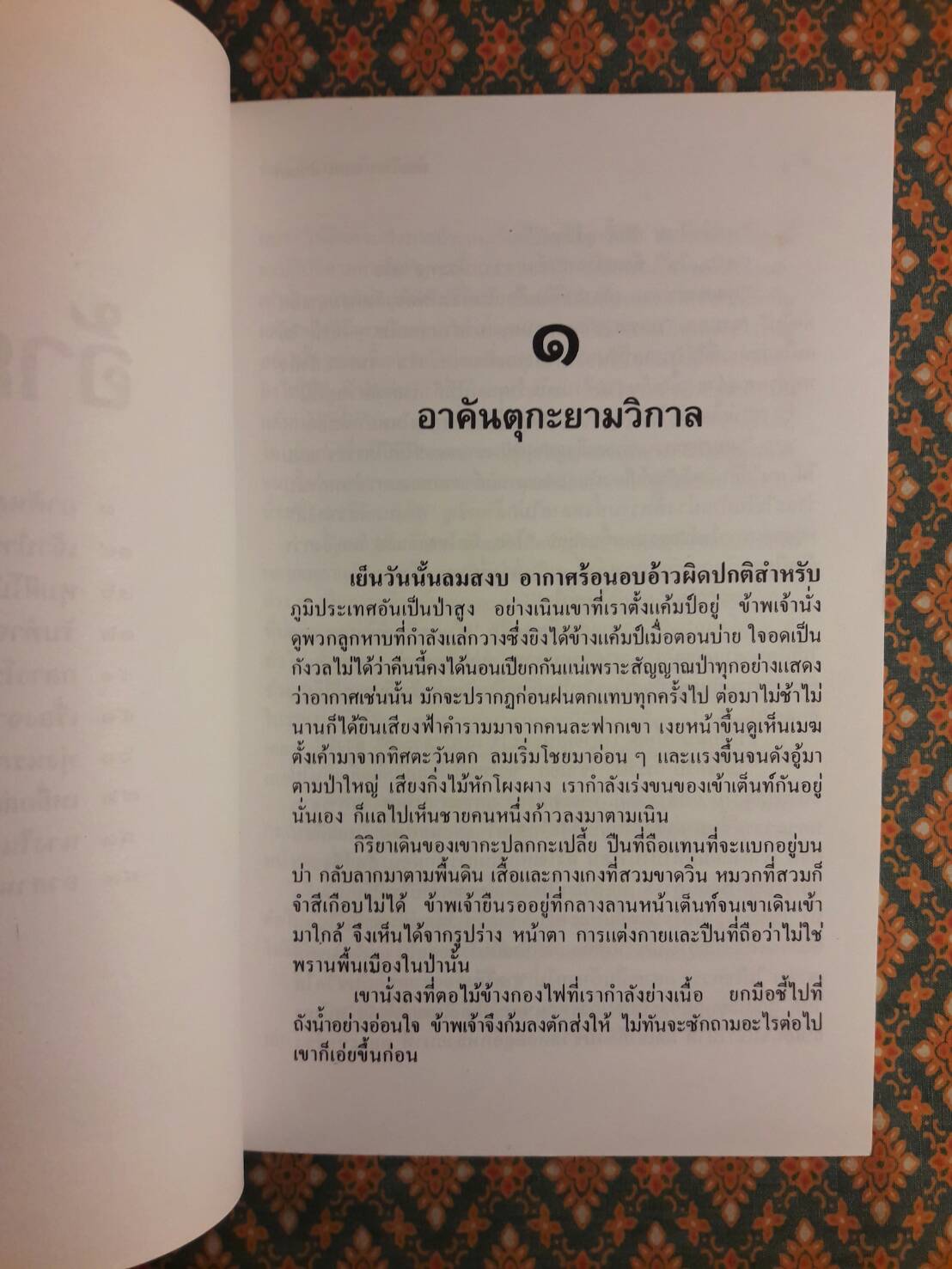 ล่องไพร (13 ตอน 14 เล่มจบ)