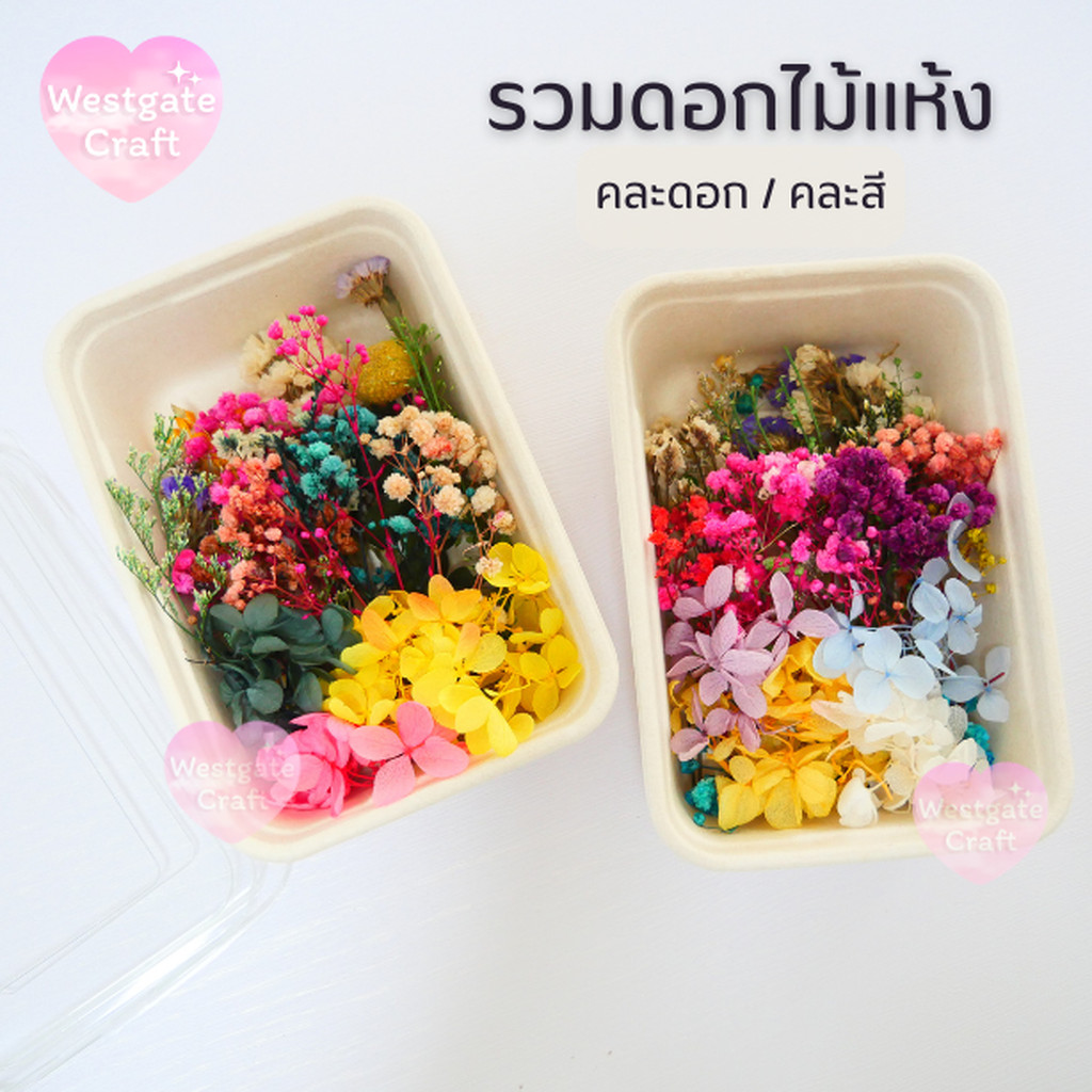 รวมดอกไม้แห้ง แบบกล่อง คละดอก คละสี สุ่ม