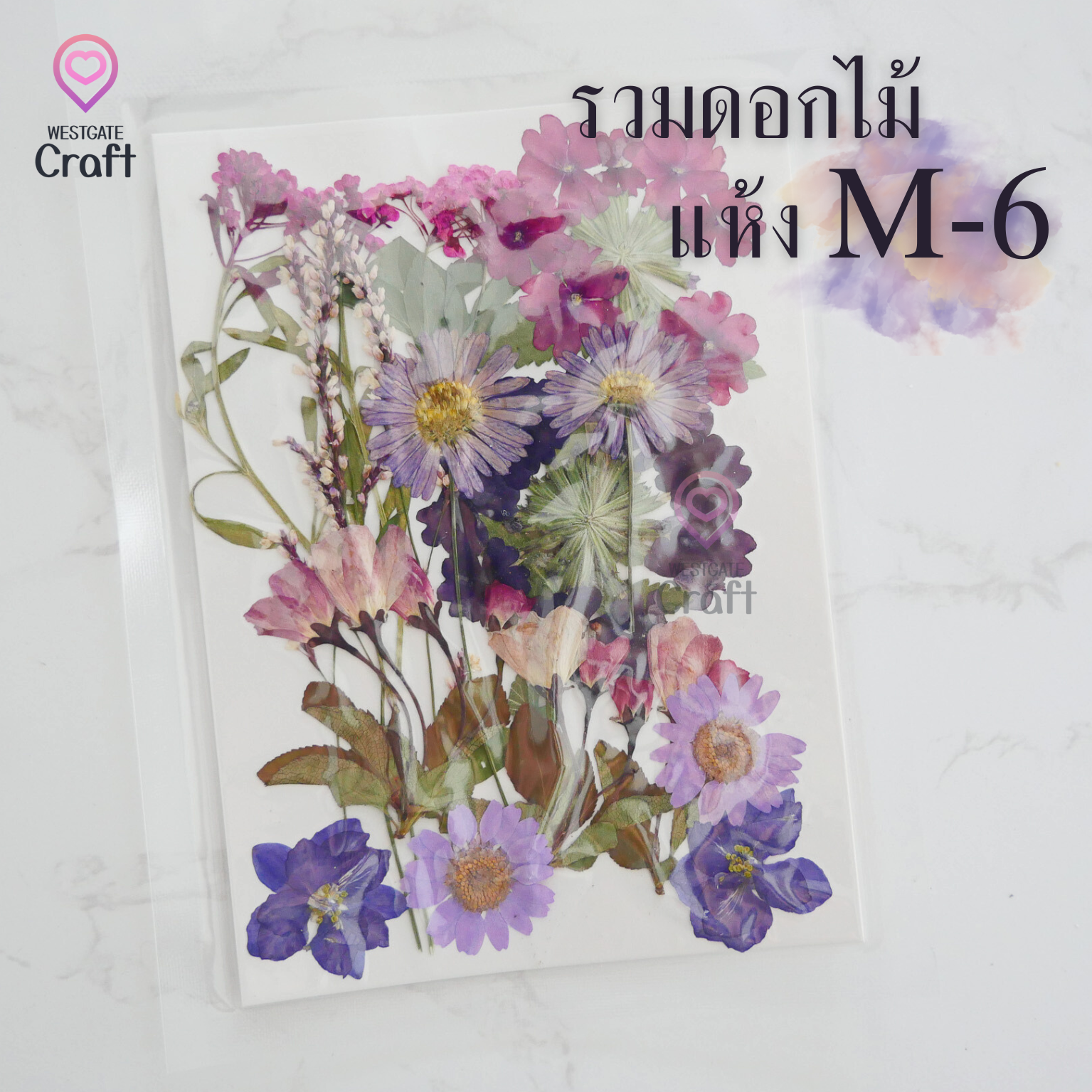 รวมดอกไม้แห้ง M ดอกไม้แห้งทับ ดอกไม้แบบคละ