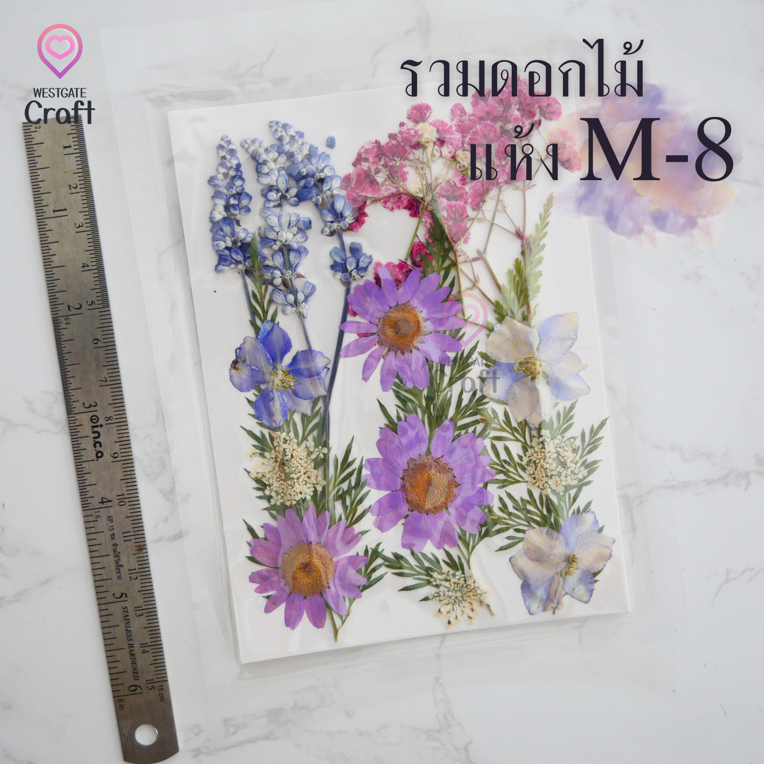 รวมดอกไม้แห้ง M ดอกไม้แห้งทับ ดอกไม้แบบคละ