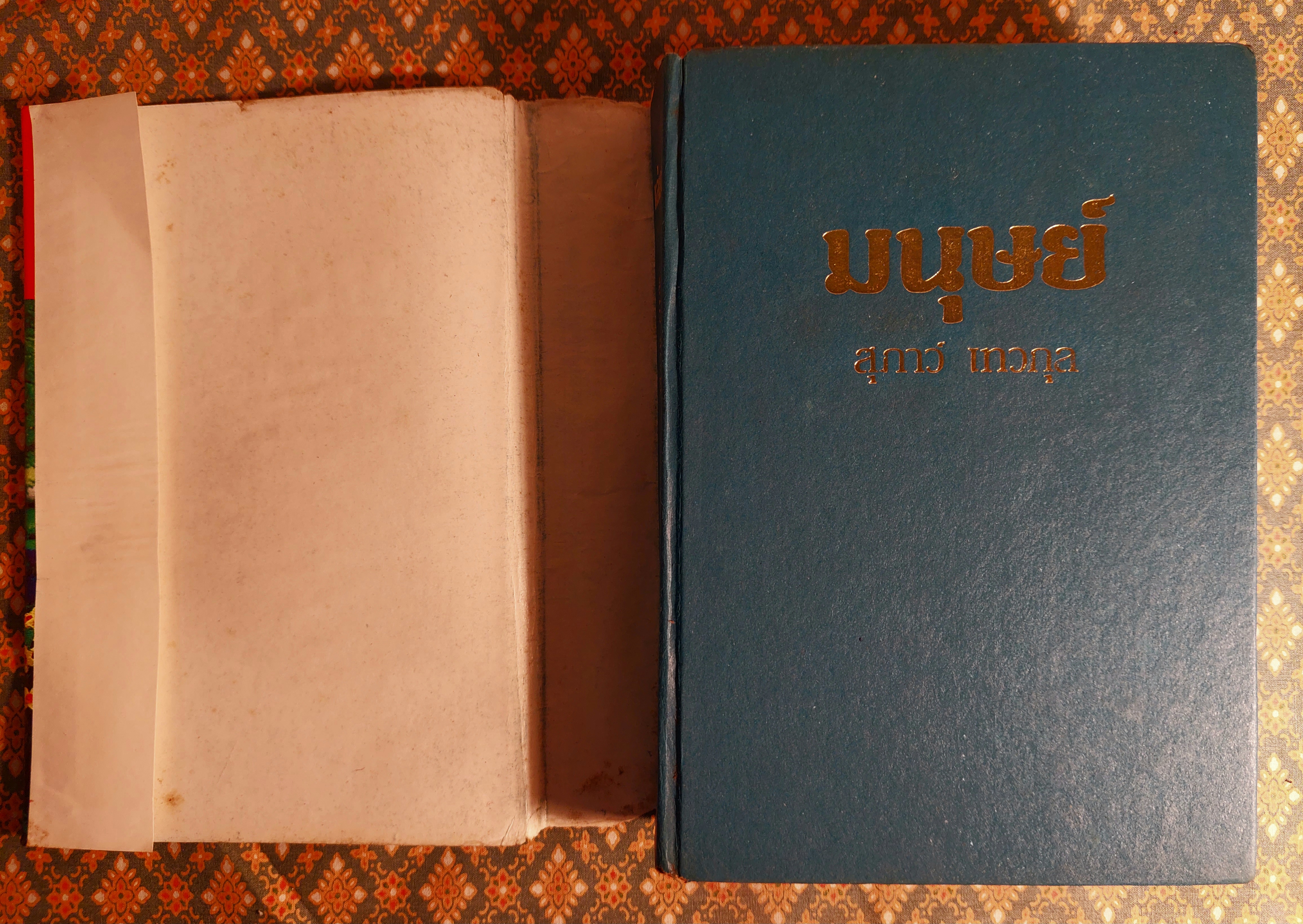 มนุษย์ (2 เล่มจบ)