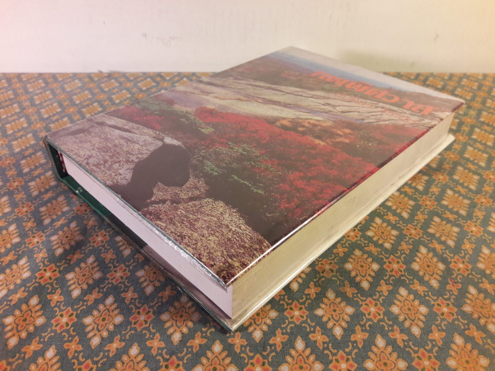 ภพพิศวาส