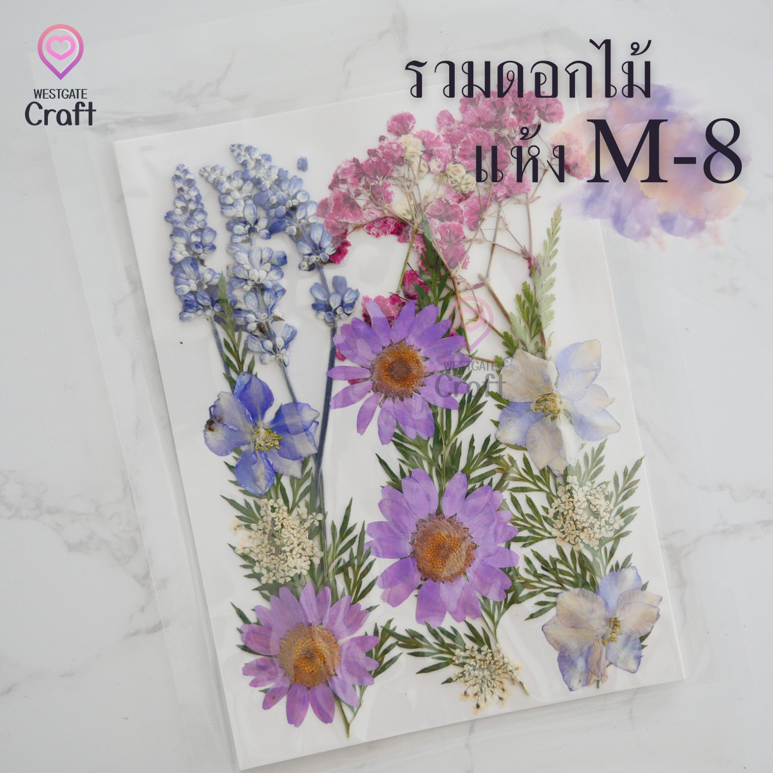 รวมดอกไม้แห้ง M ดอกไม้แห้งทับ ดอกไม้แบบคละ