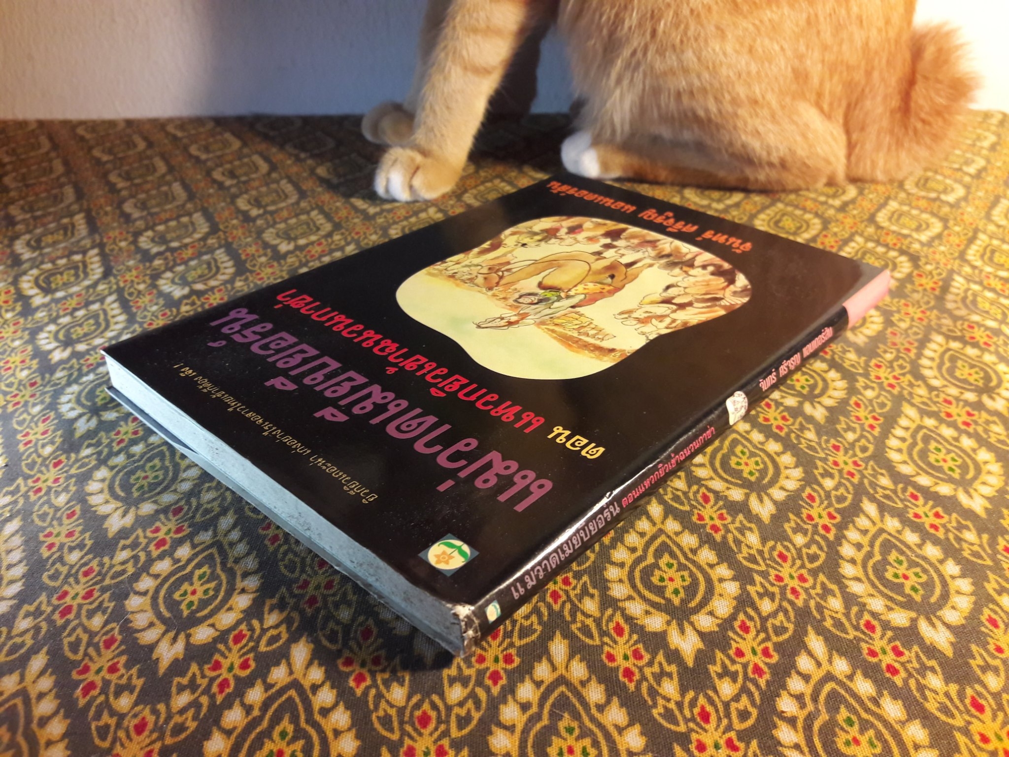 แม่วาดเมียบียอร์น ตอนแหวกยิวเข้าฉนวนกาซ่า