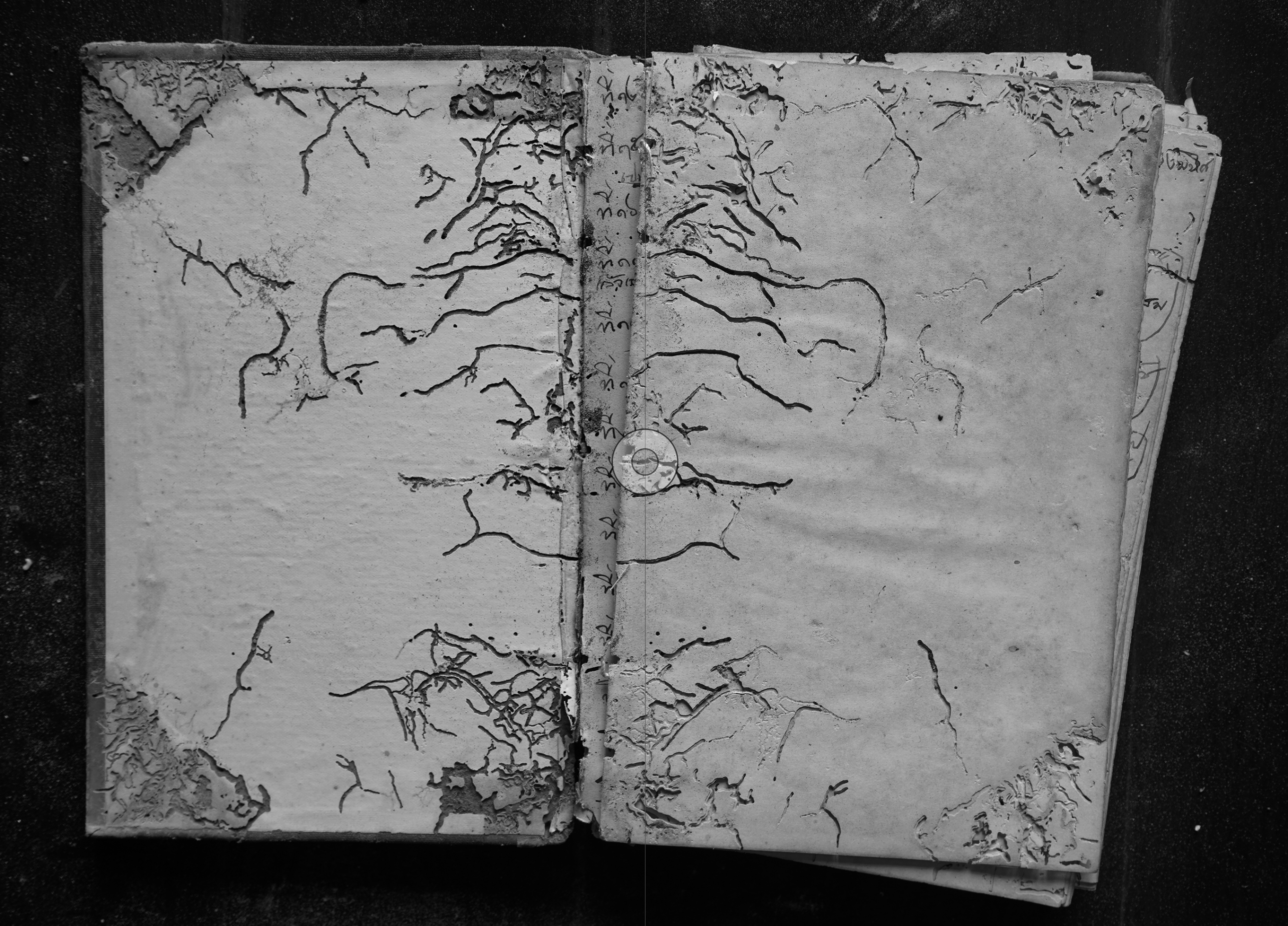 Riverbooks ร้านหนังสือประวัติศาสตร์ : Chariot of the Sun