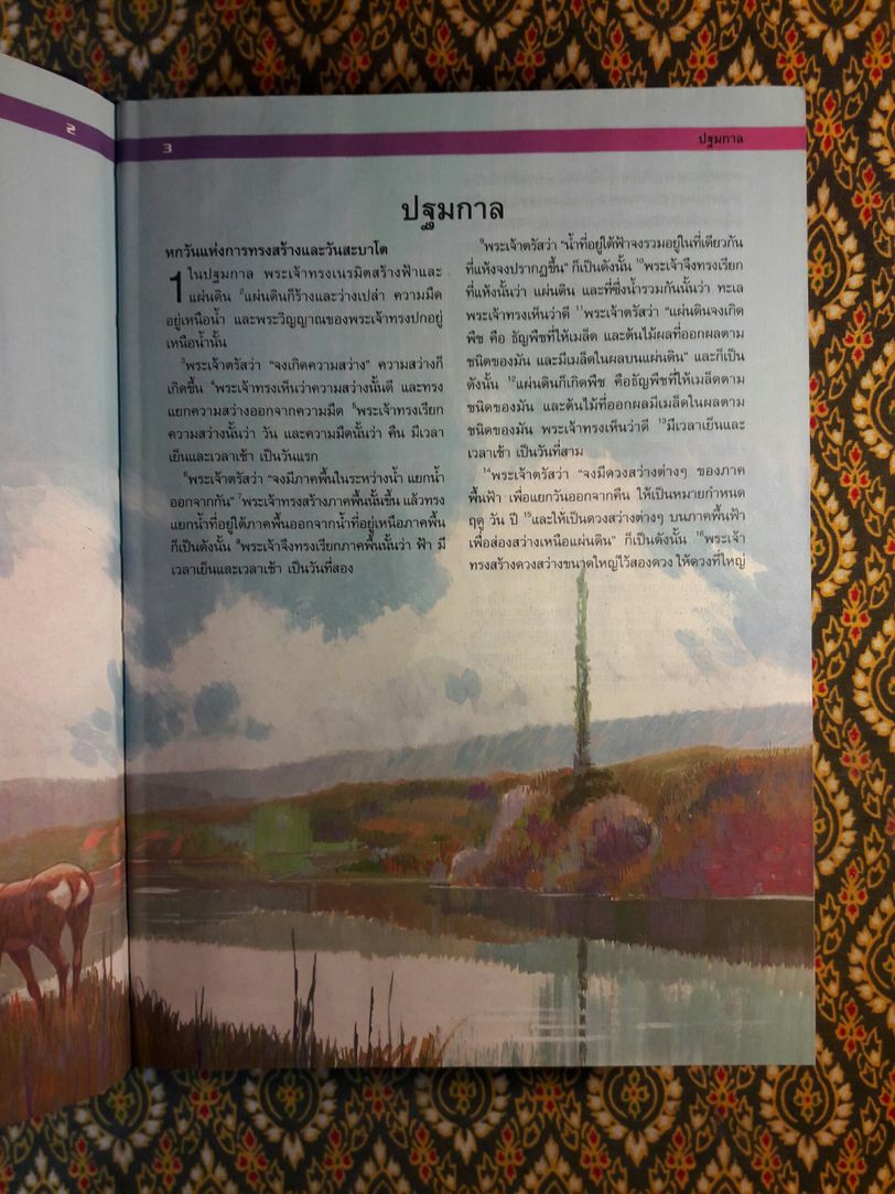 พระคัมภีร์ สำหรับครอบครัว The Illustrated Family Bible