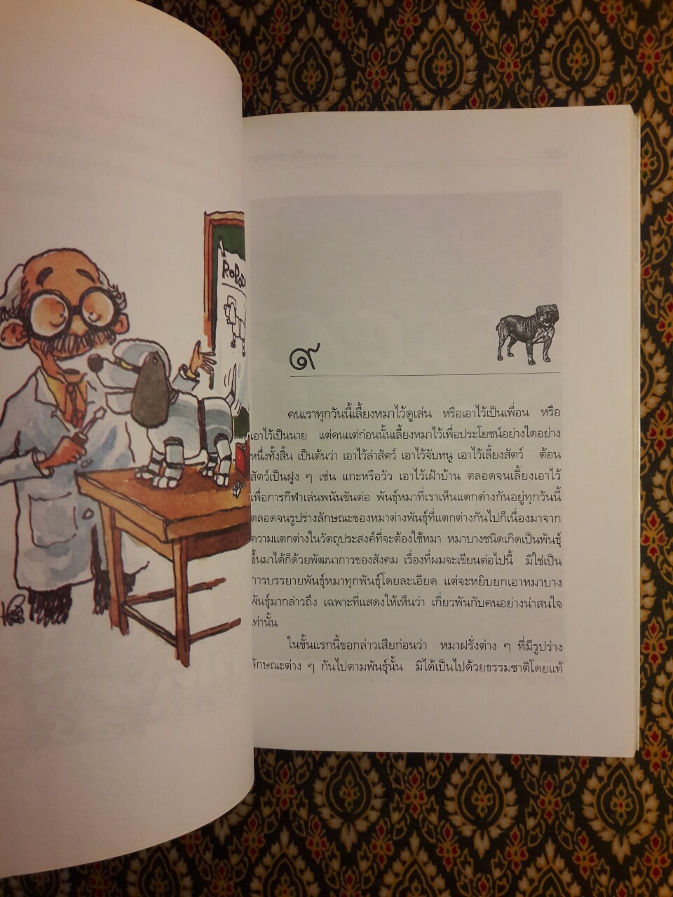 คนรักหมา