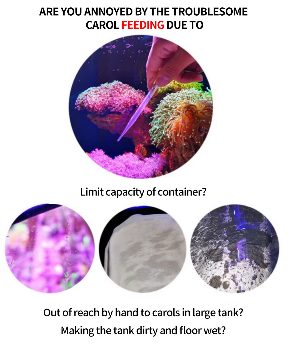 SeaTorch Electrice fluid feeder