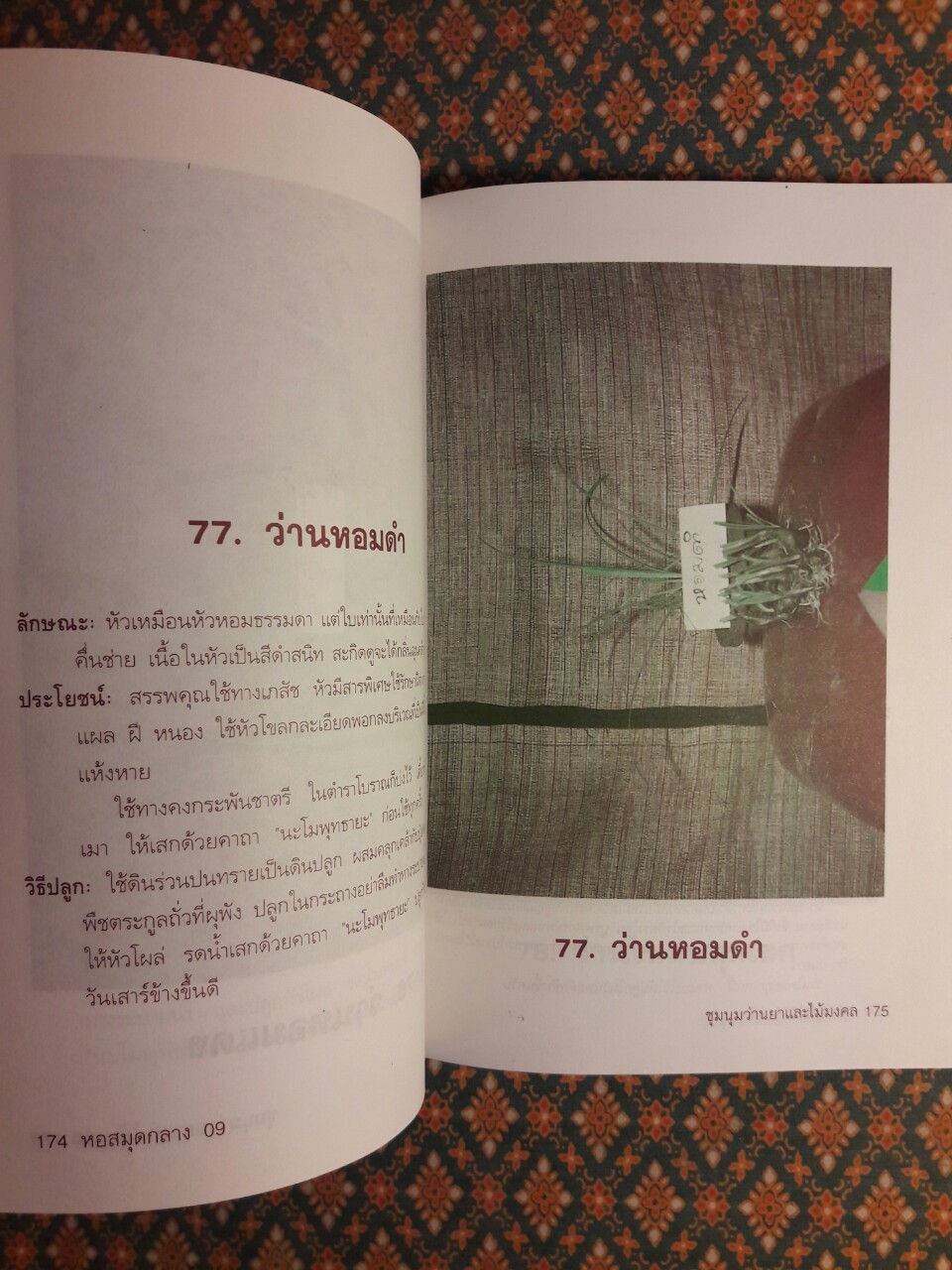 ชุมนุมว่านยาและไม้มงคล