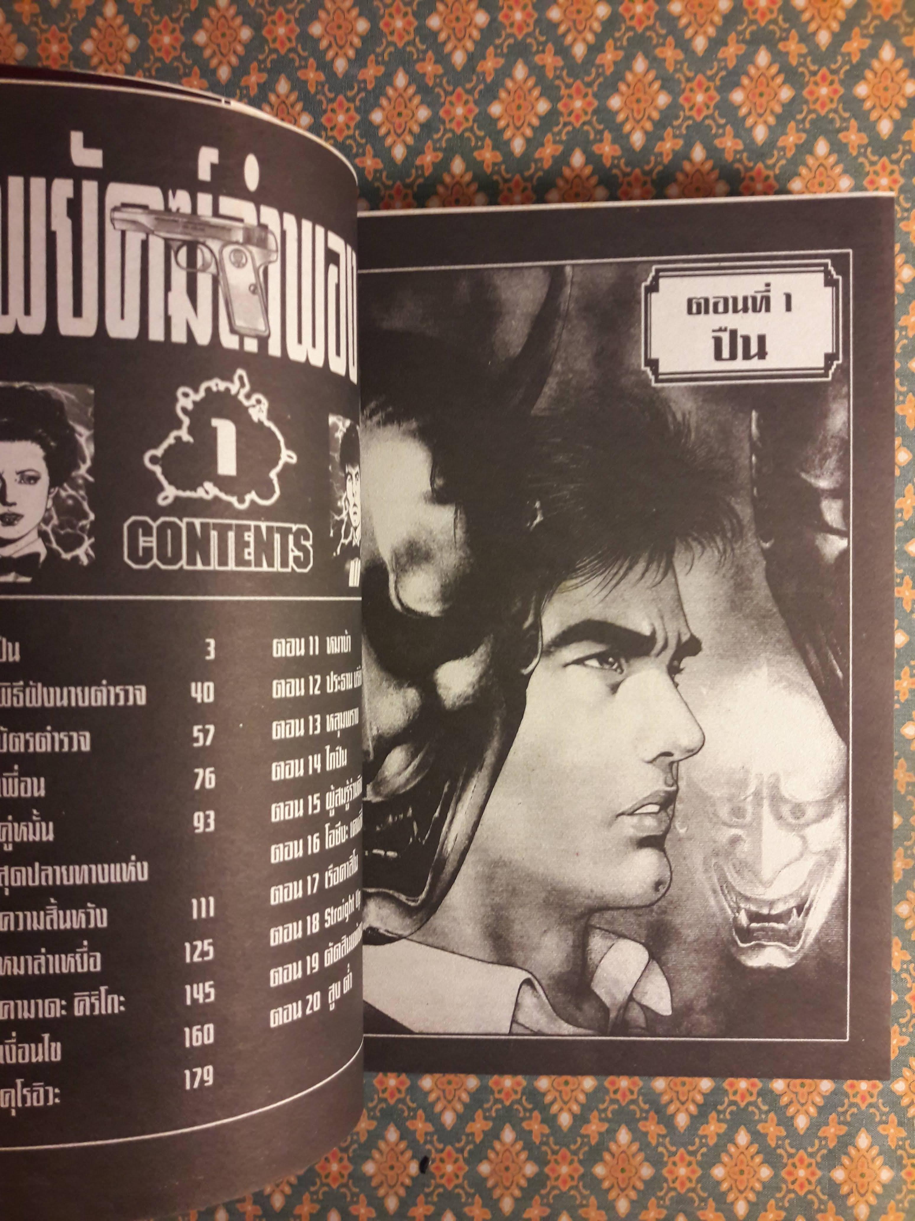 พยัคฆ์ลำพอง Dark (2 เล่มจบ)