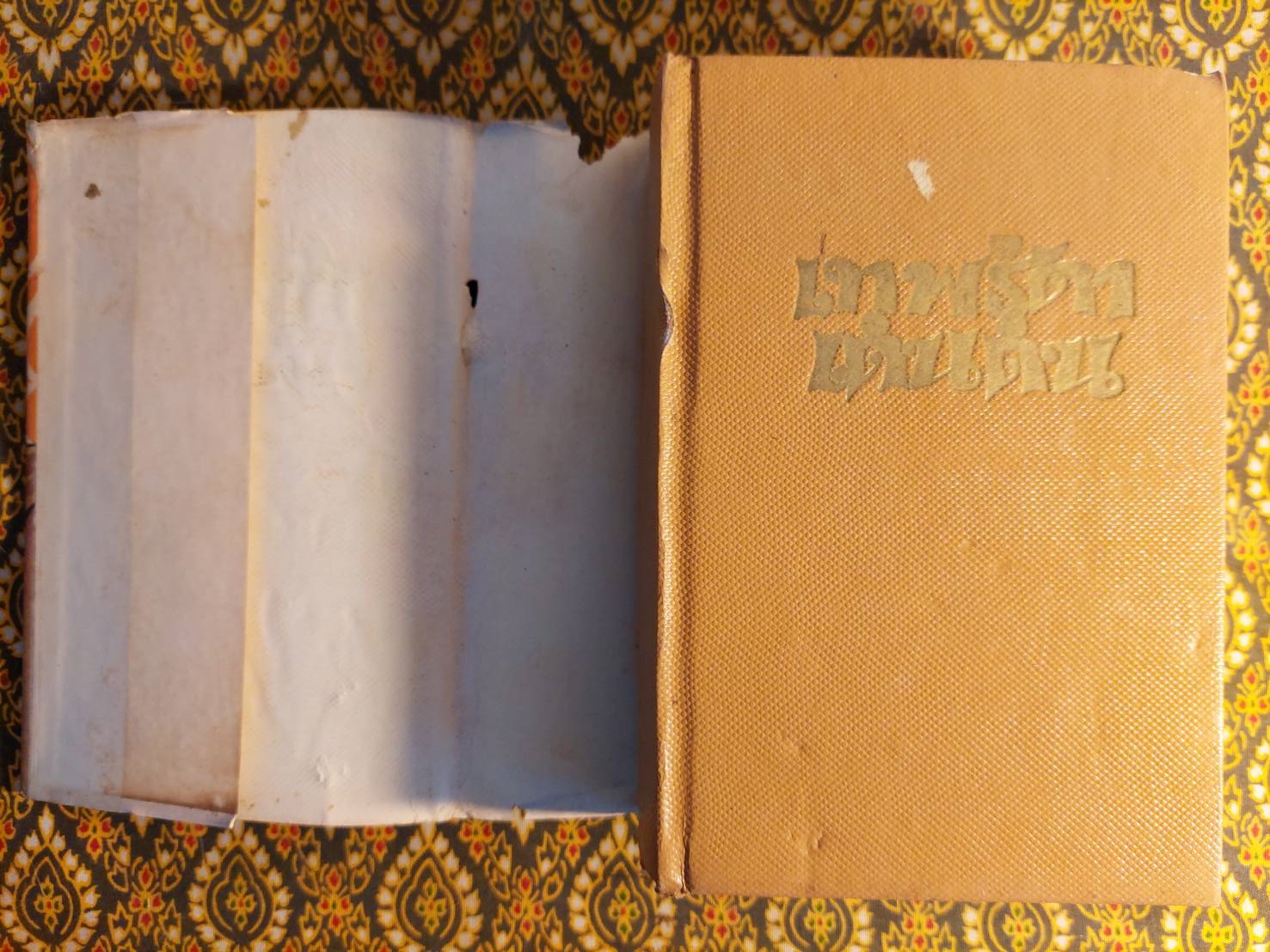 เทพธิดาเดินดิน (2 เล่มจบ)