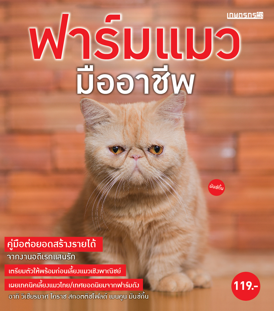 ฟาร์มแมว มืออาชีพ