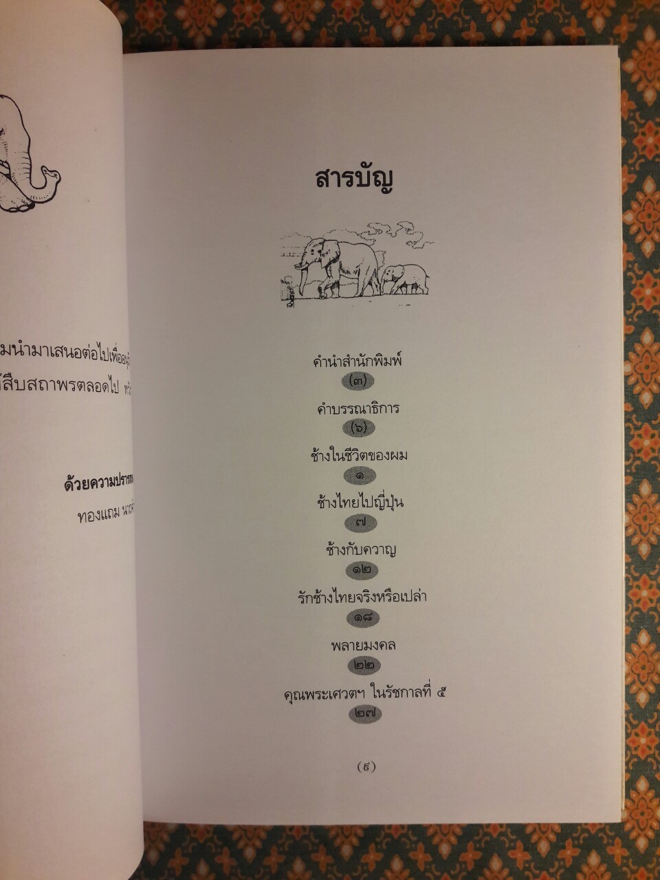 ช้างในชีวิตของผม