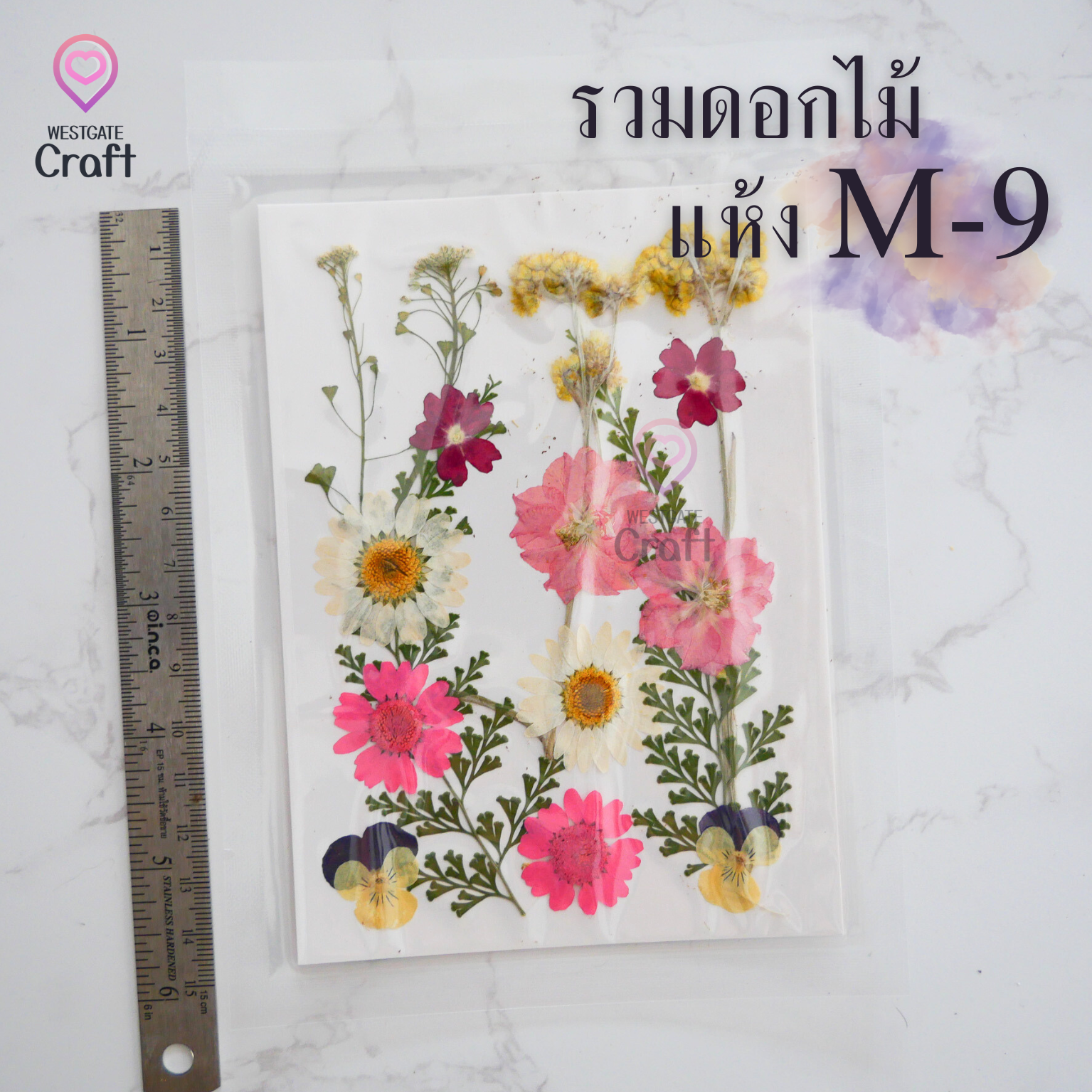 รวมดอกไม้แห้ง M ดอกไม้แห้งทับ ดอกไม้แบบคละ