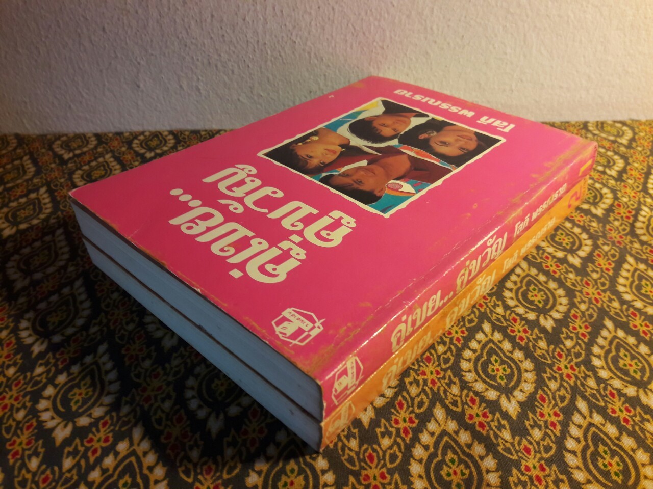 คู่เขย คู่ขวัญ (2 เล่มจบ)