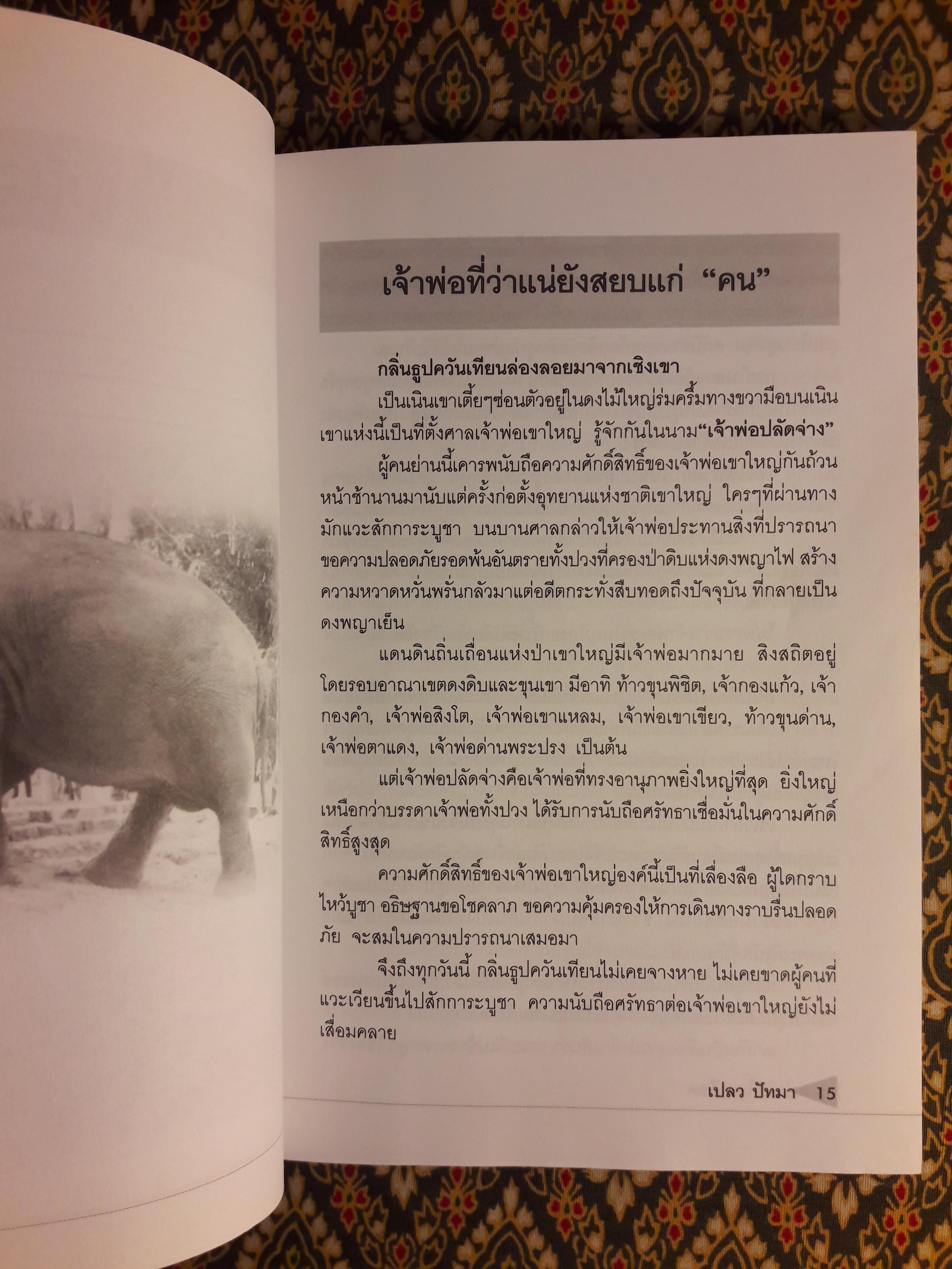 ป่าดิบไพรเดือด