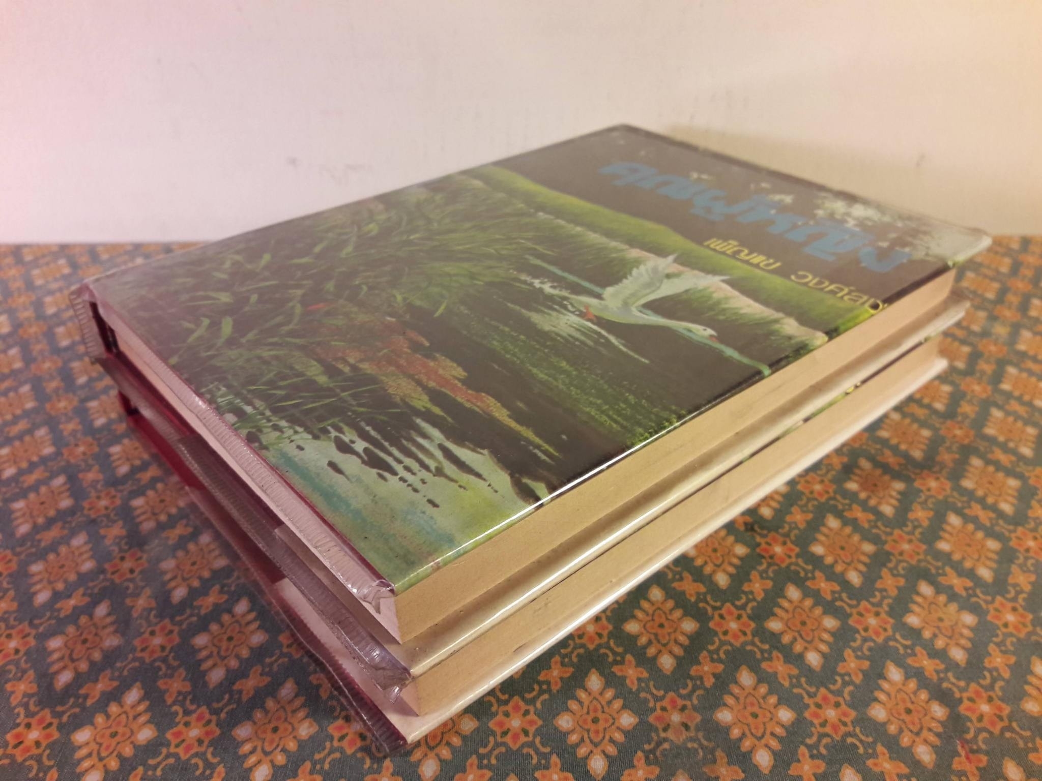 คุณผู้หญิง (2 เล่มจบ)