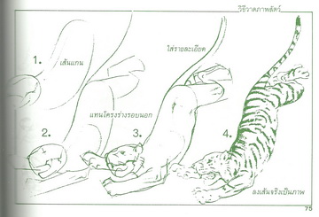 วิธีวาดภาพสัตว์