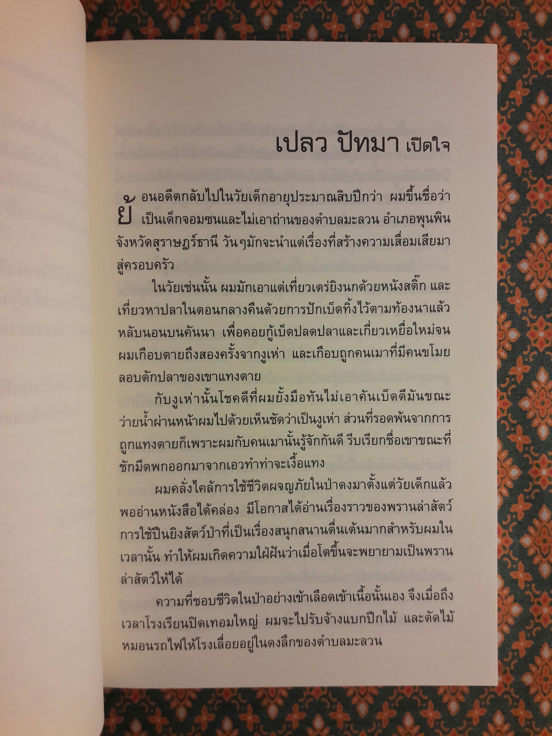 ป่าระงมปืน