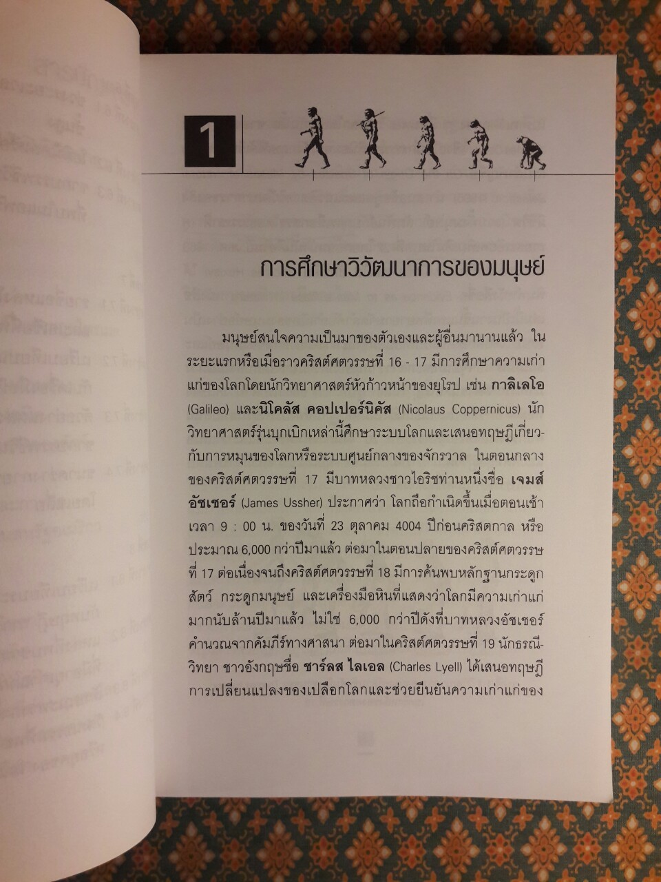 รากเหง้าเผ่าพันธุ์มนุษย์ วิวัฒนาการทางชีววิทยาและวัฒนธรรม