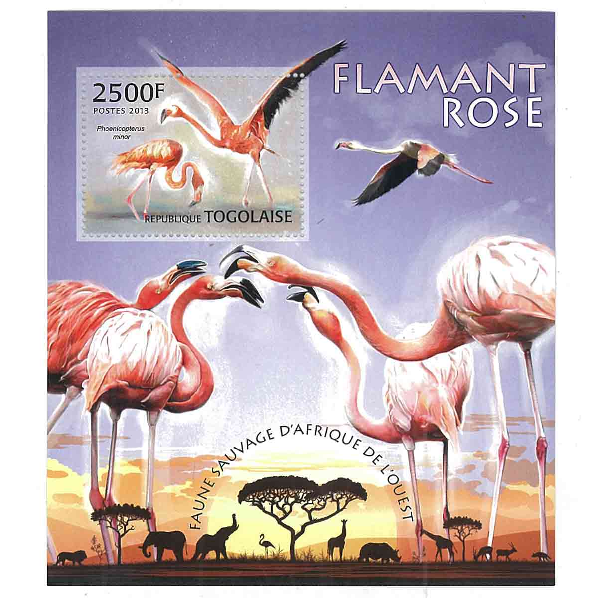 Togo Stamp, 2013 Flamingo, Birds, Wildlife, Animals S/S
