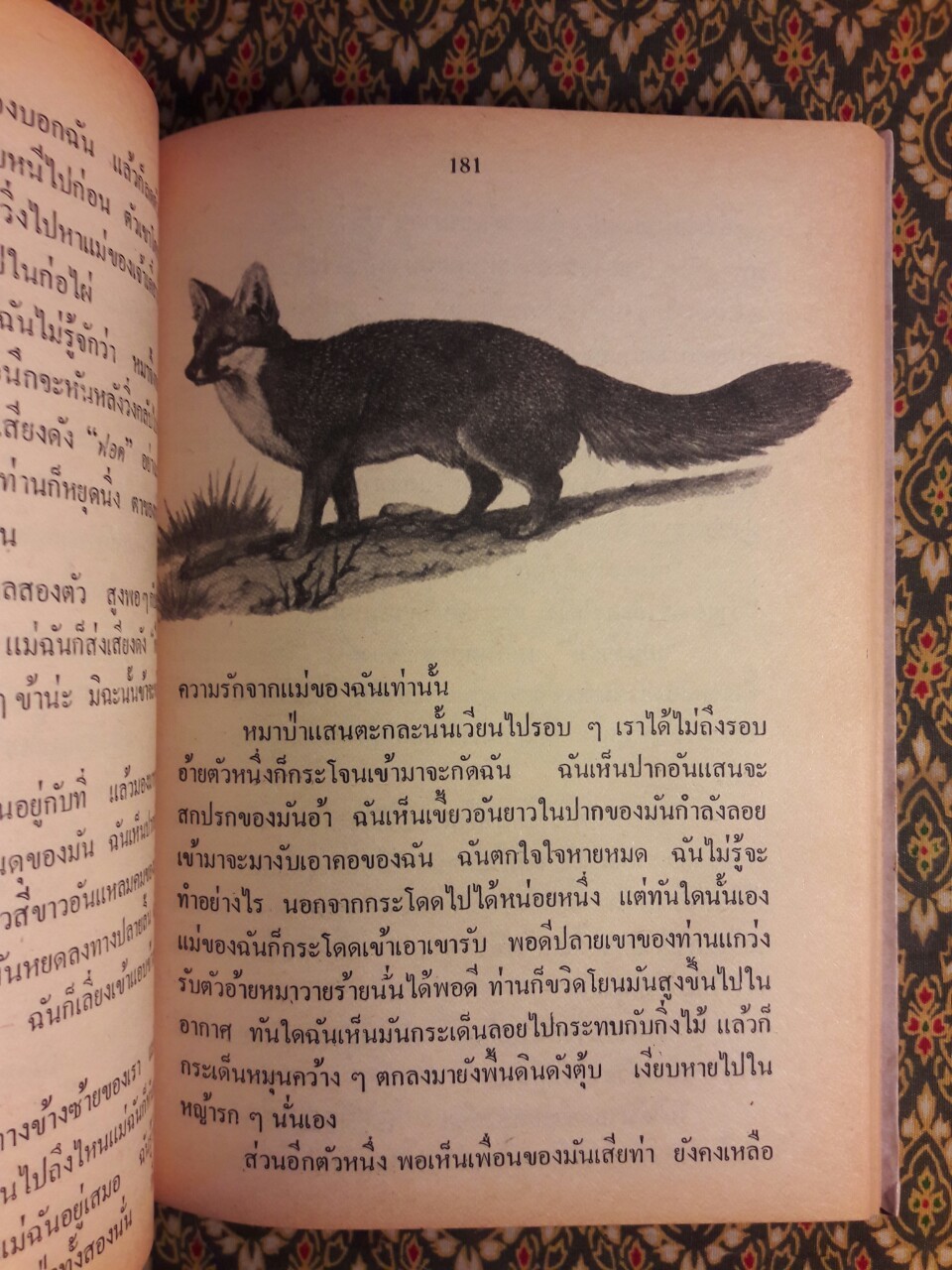 ชีวิตของฉันลูกกระทิง “หนังสือดี 100 ชื่อเรื่อง ที่เด็กและเยาวชนไทยควรอ่าน”