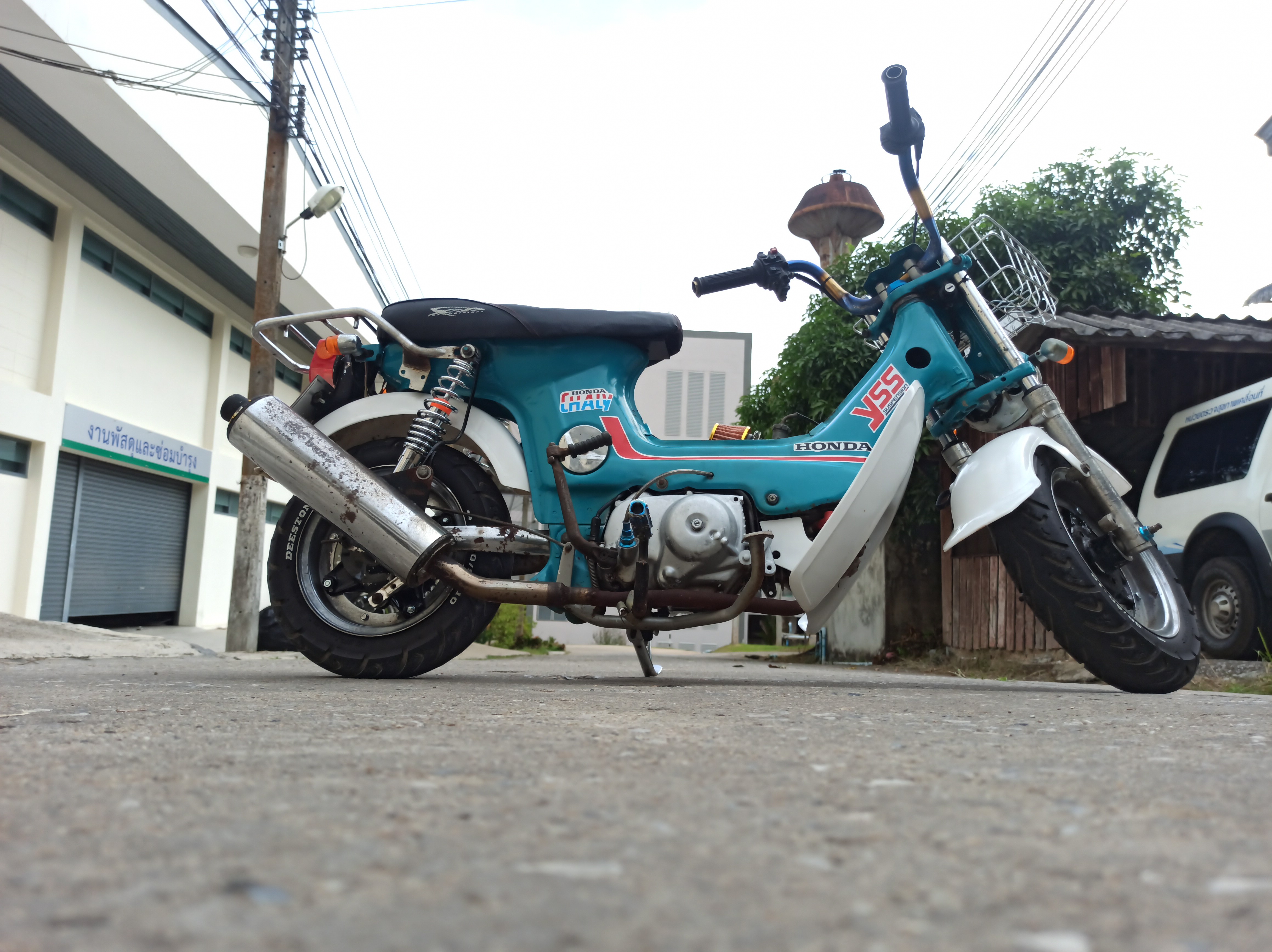 ชาลี