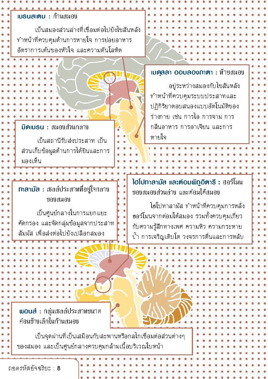 Expernet หนังสือ ถอดรหัสอัจฉริยะ [ เกรด B หนังสือมีตำหนิ ]