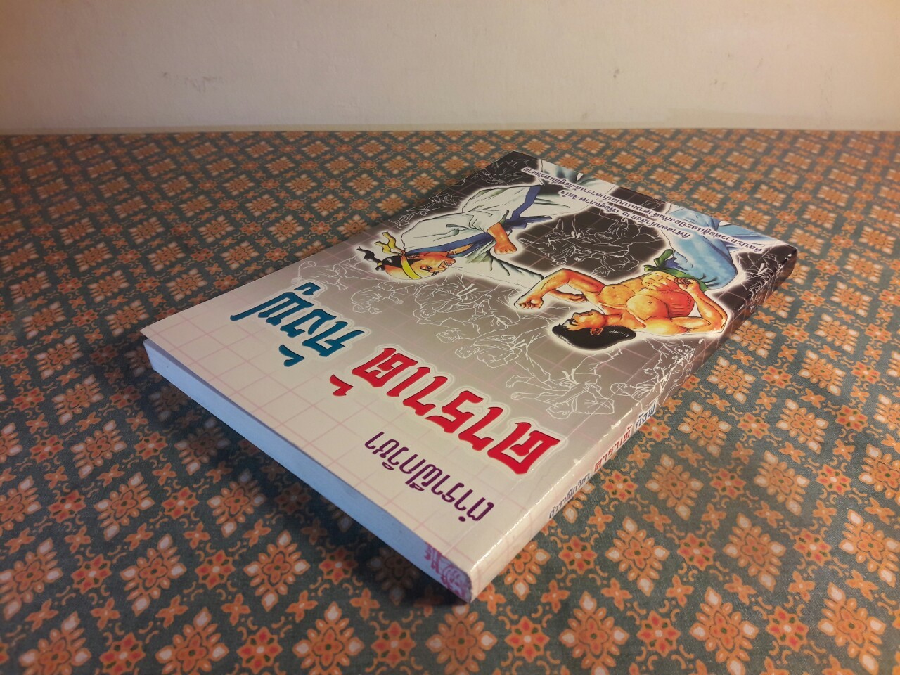 ตำราฝึกวิชาคาราเต้ กังฟู