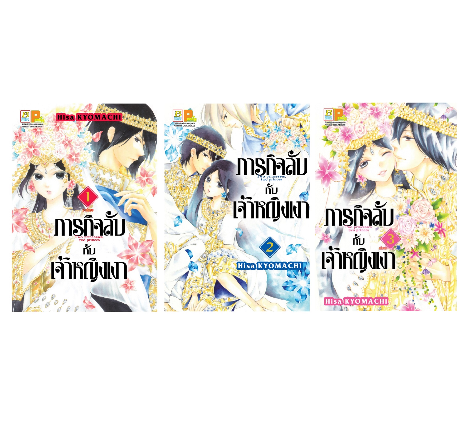 PACK SET! ภารกิจลับกับเจ้าหญิงเงา (เล่ม 1-3 จบ)