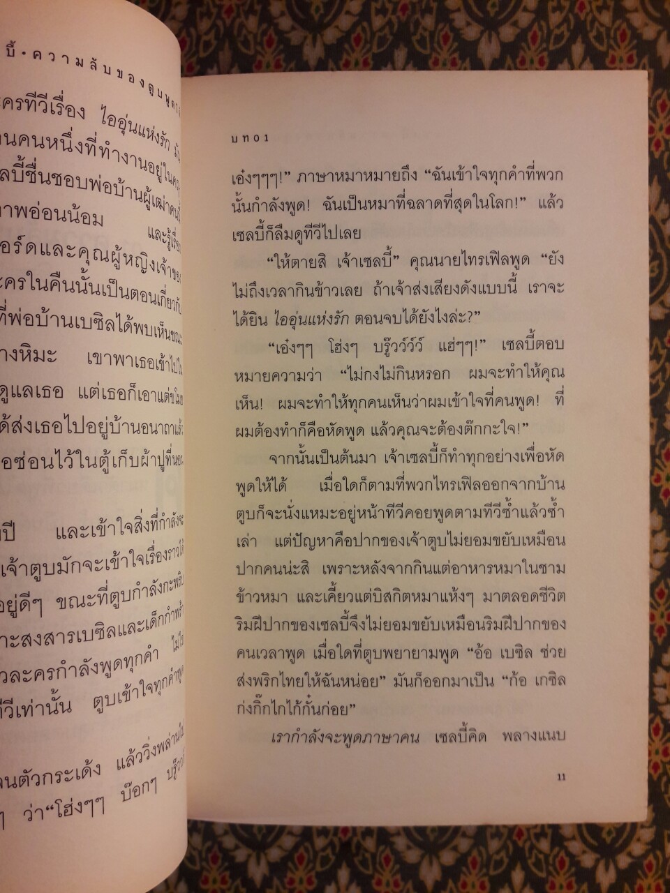 เซลบี้ ความลับของตูบพูดได้ Selby's Secret “หนังสือชนะเลิศรางวัลเกียรติยศ West Australian Young Readers' Book Award”