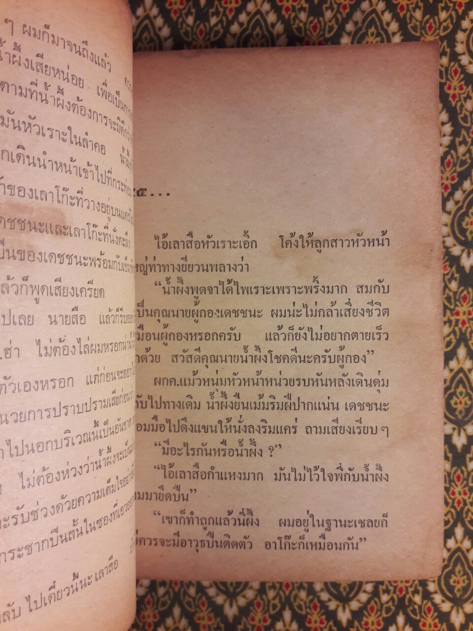 ถล่มวังข่า (2 เล่มจบ)