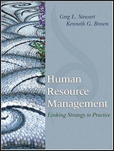 Human Resource Management : Linking Strategy to Practice 1st Edition ISBN 9780471717515