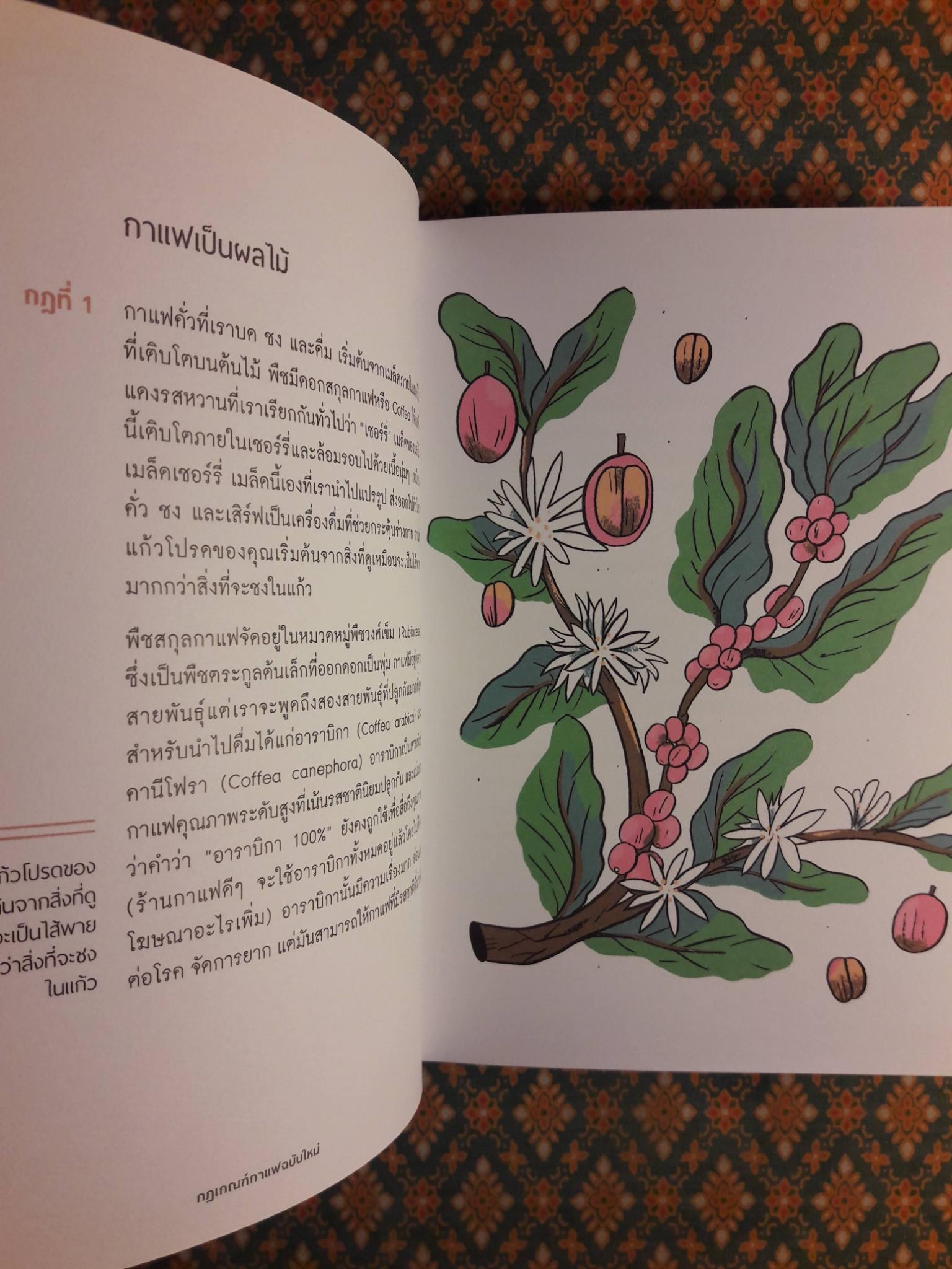 THE NEW RULES of COFFEE กฎเกณฑ์กาแฟฉบับใหม่