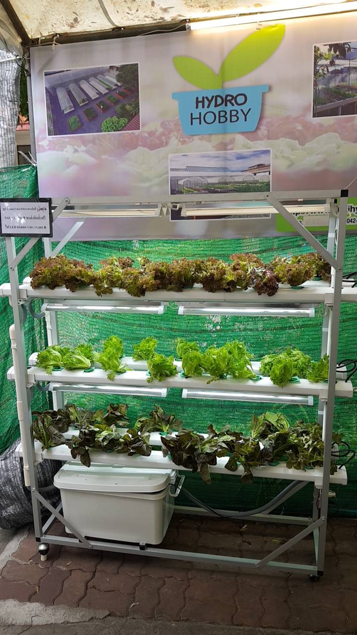 ชุดปลูกผักไฮโดรโปนิกส์ ขนาด 1.5 เมตร 6 รางปลูก พร้อมไฟ LED ปลูกได้ 54 ต้น