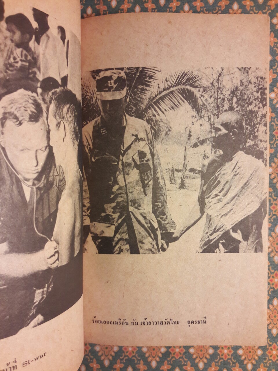 นกฟ้าลงน้ำ