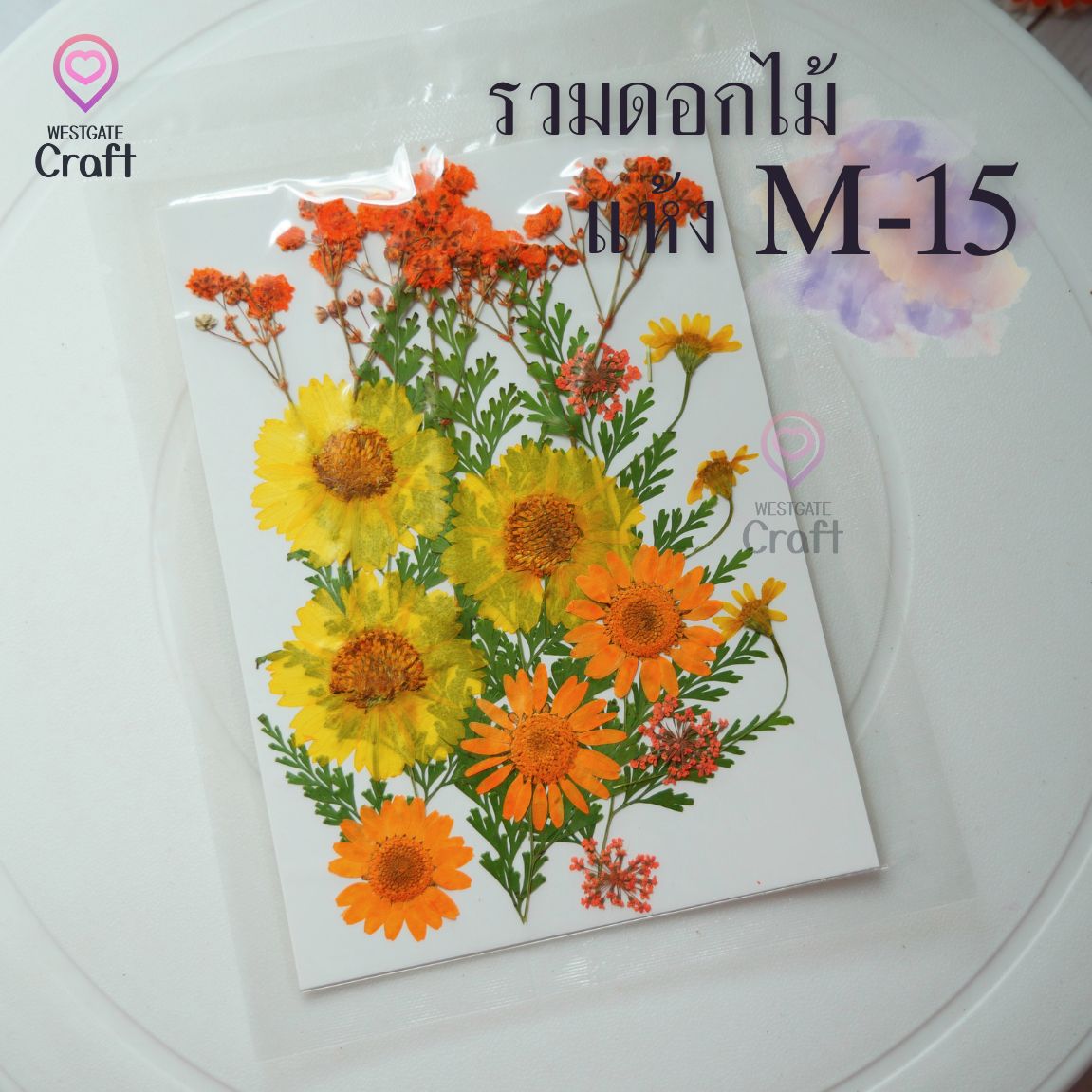 รวมดอกไม้แห้ง M ดอกไม้แห้งทับ ดอกไม้แบบคละ