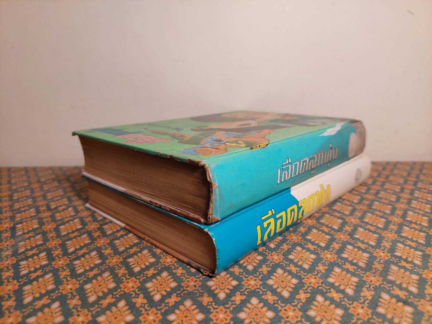 เลือดลูกทุ่ง (2 เล่มจบ)