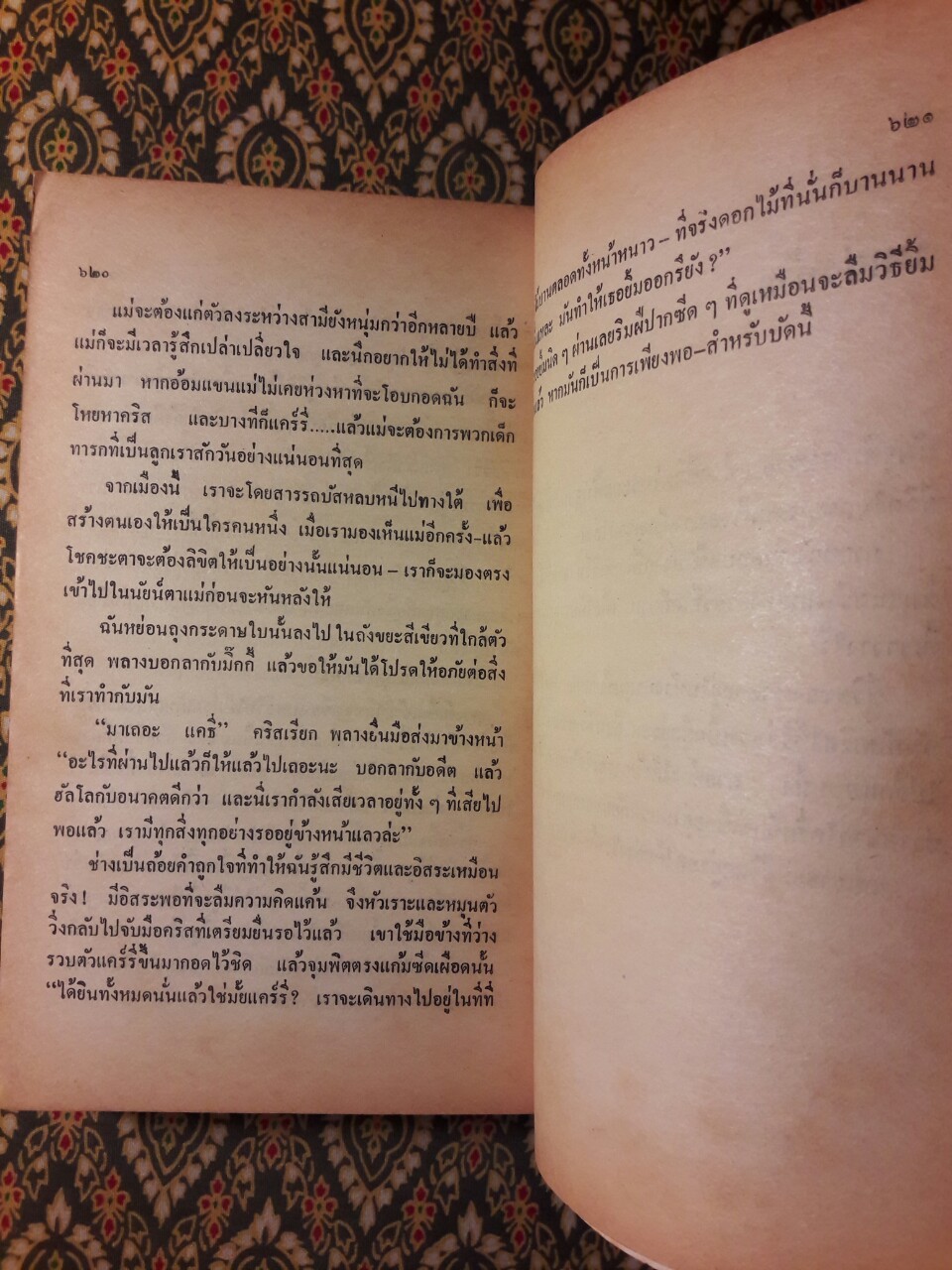 ดอกไม้ไกลแดด Flowers in the attics
