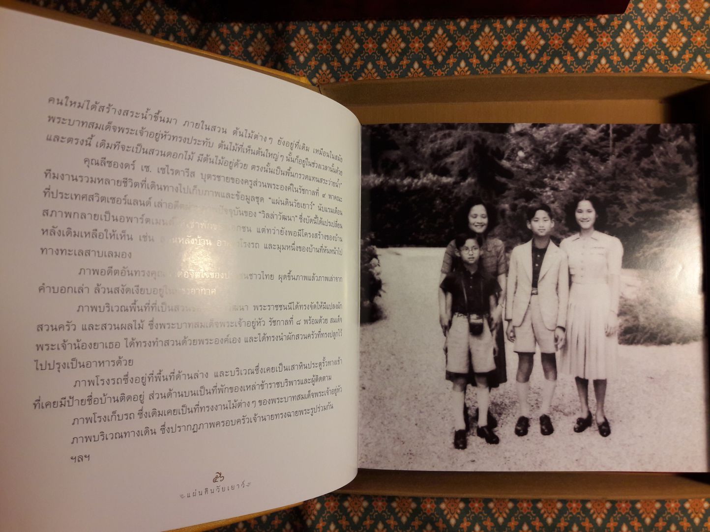 แผ่นดินวัยเยาว์