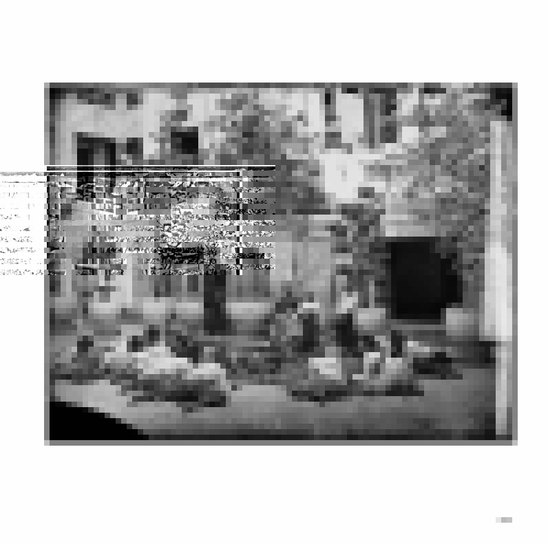 Riverbooks หนังสือประวัติศาสตร์ : สยาม ผ่านมุมกล้องจอห์น ทอมสัน ๒๔๐๘-๙ รวมทั้ง นครวัดและเมืองชายฝั่งประเทศจีน