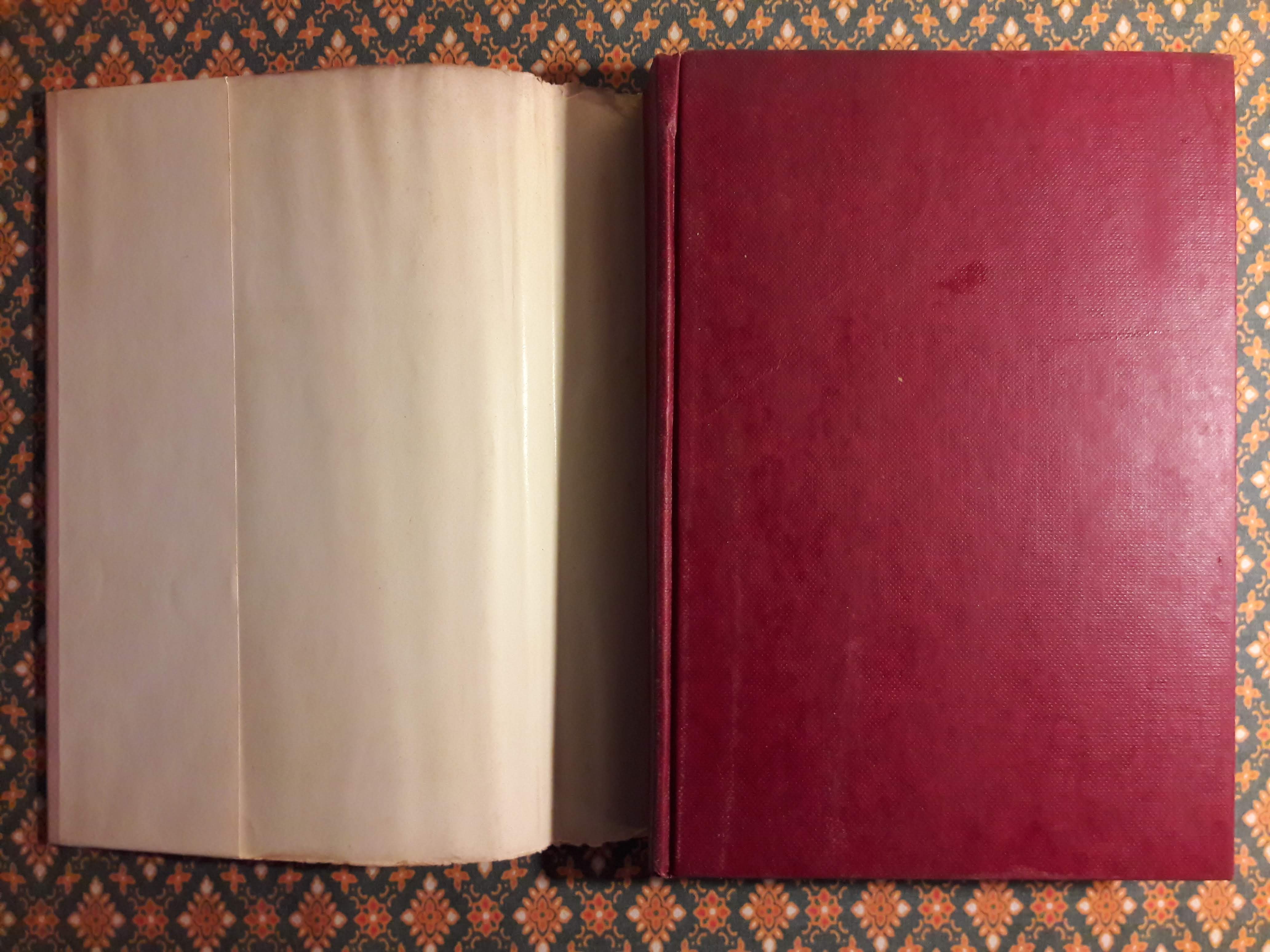 กล้วยไม้