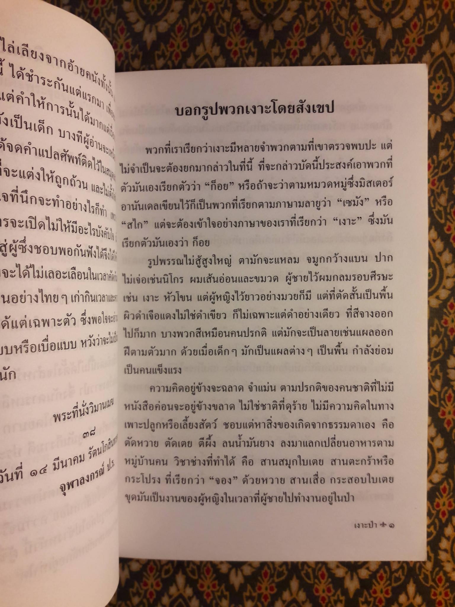 เงาะป่า