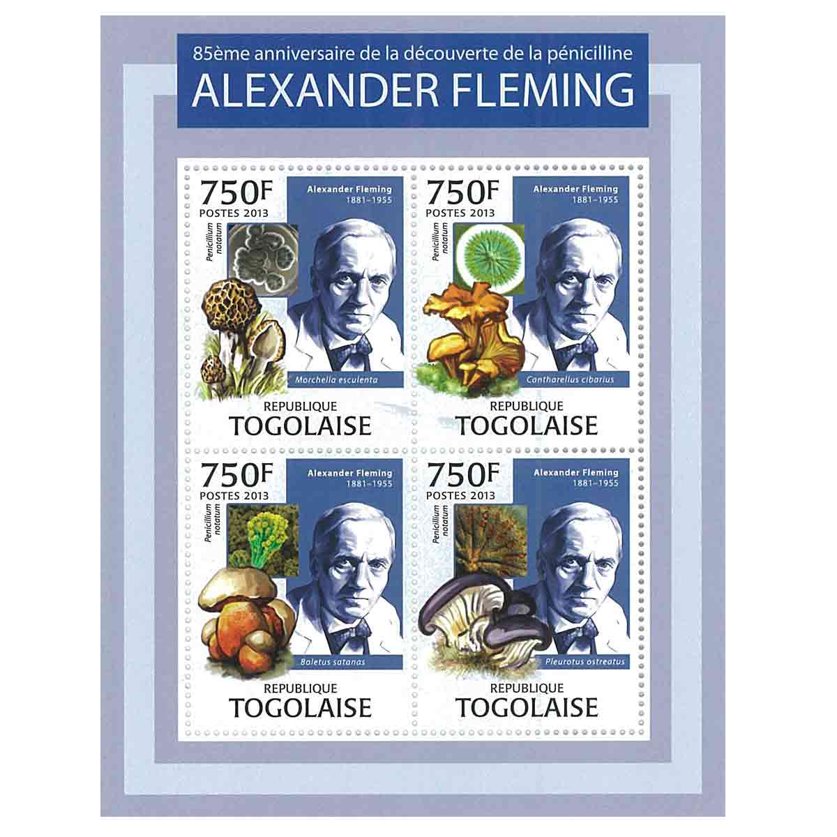 Togo Stamp, 2013 85th Anniversary of Fleming's Discovery of Penicillin